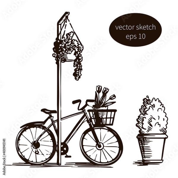 Obraz Vector hand-drawn black and white illustration of a bicycle with a basket by a post with flowers in a pot and a pots.
