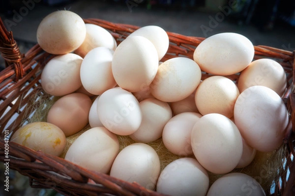 Fototapeta homemade farm eggs lie in a wicker basket