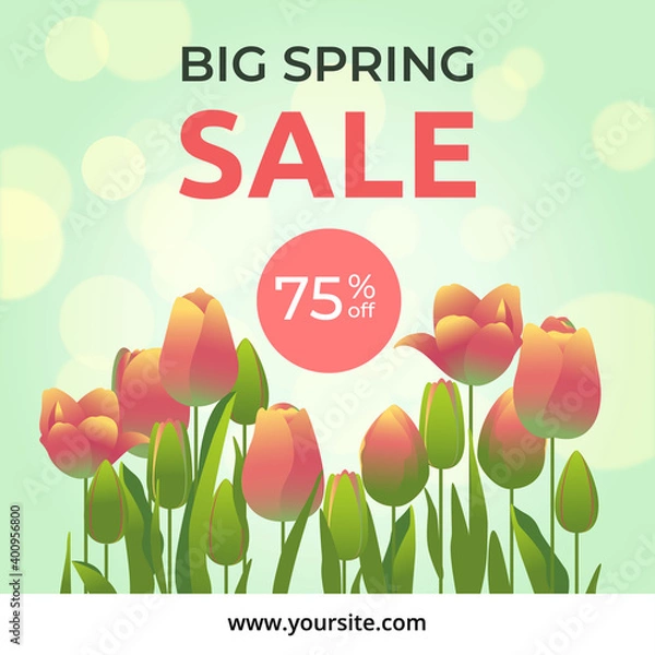 Fototapeta Spring tulip flowers banner with bokeh effect