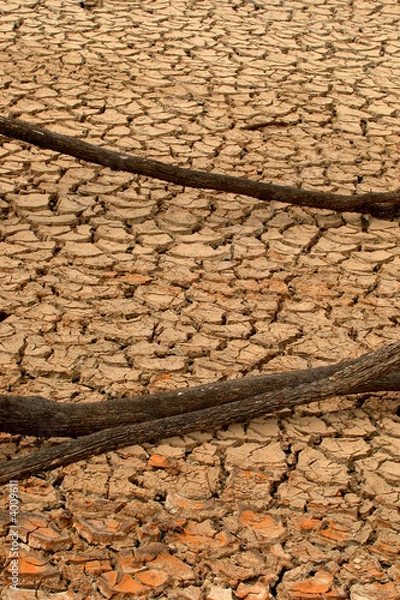 Obraz Drought land