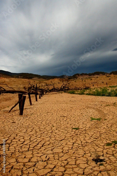 Fototapeta Pusta tama w suszach