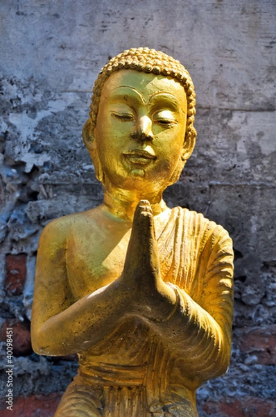 Obraz buddha image