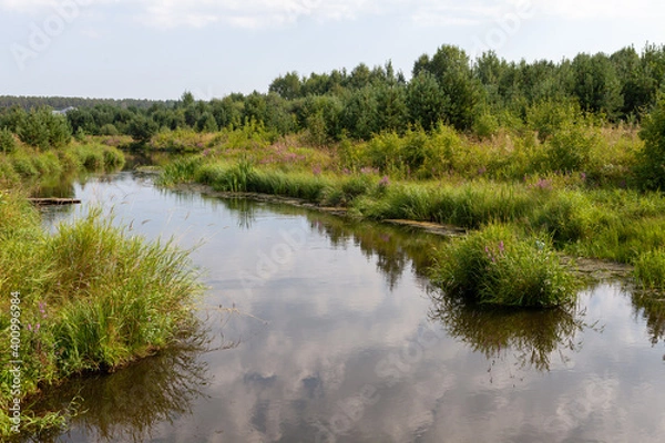 Fototapeta A river with a slow flow, with overgrown grass banks, with the reflection of the sky in the water