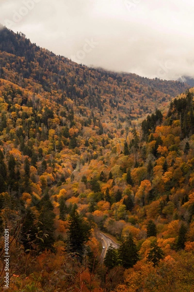 Obraz autumn in the mountains