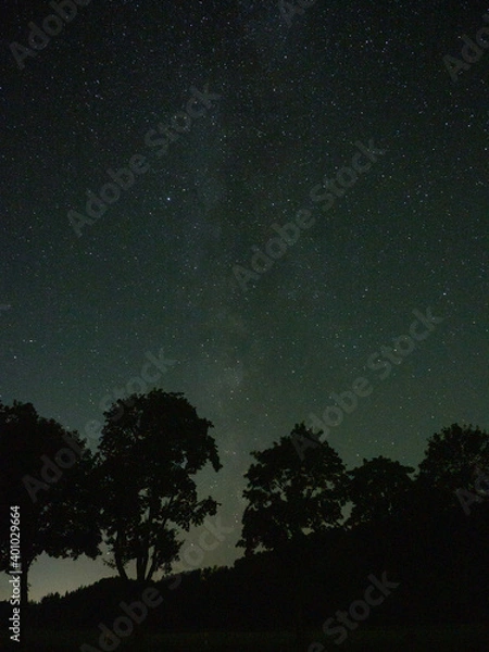 Obraz OLYMPUS DIGITAL CAMERA