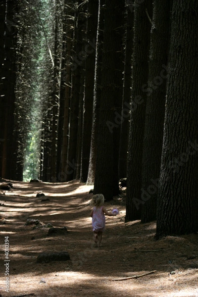 Fototapeta Lost in forest