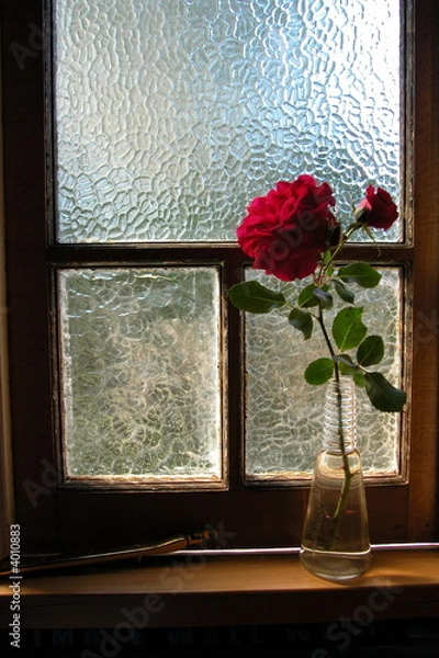 Obraz rose in vase on window sill