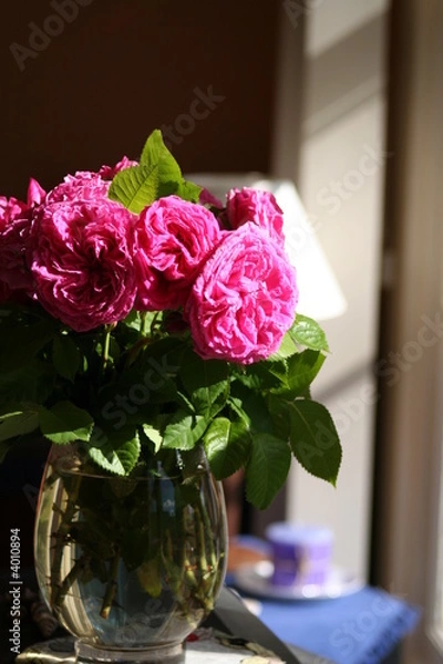 Obraz Flowers in the window