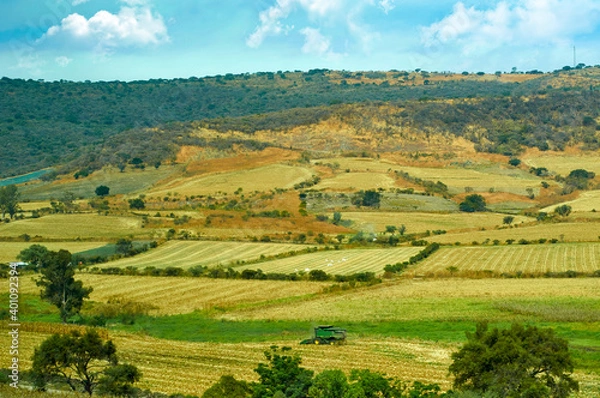 Obraz siembra jalisco