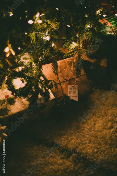 Obraz tree in the night