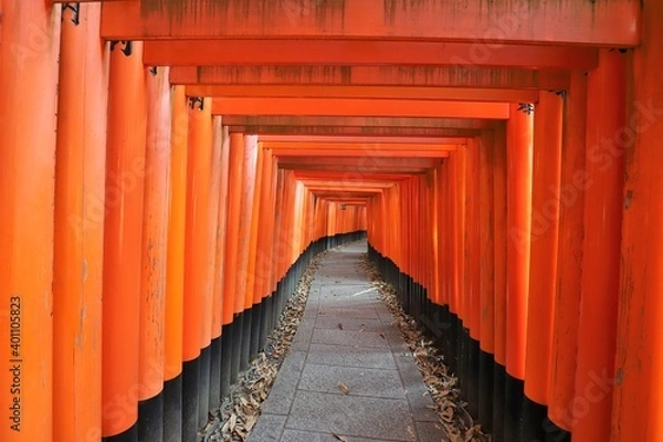 Fototapeta 伏見稲荷大社
