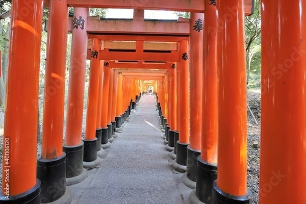 Fototapeta 伏見稲荷大社