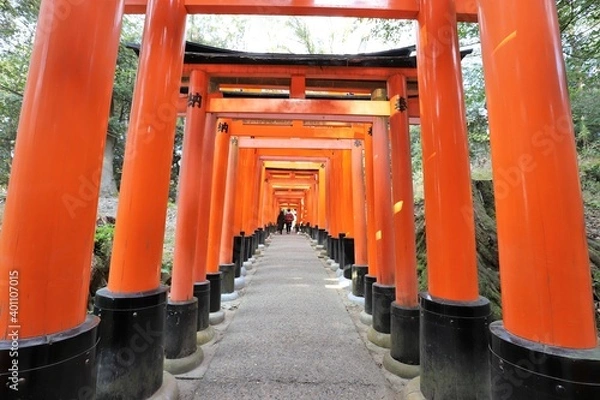 Fototapeta 人気スポット　伏見稲荷大社