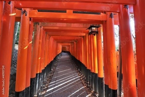 Fototapeta 人気スポット　伏見稲荷大社