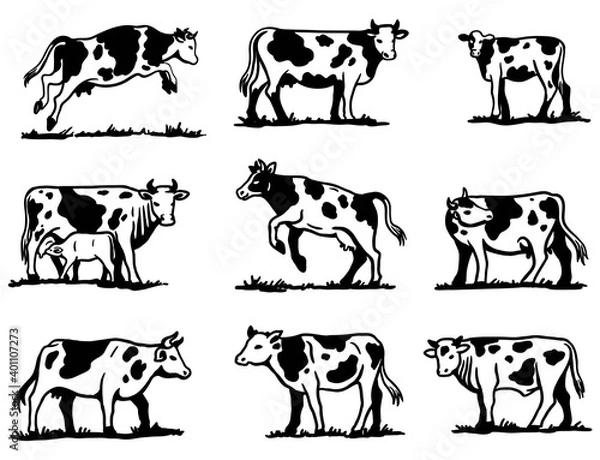 Obraz breeding cow. animal husbandry. sketches on a grey background