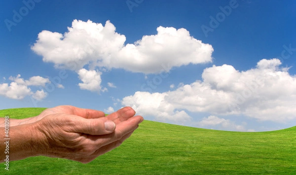 Obraz Hände vor Wiese