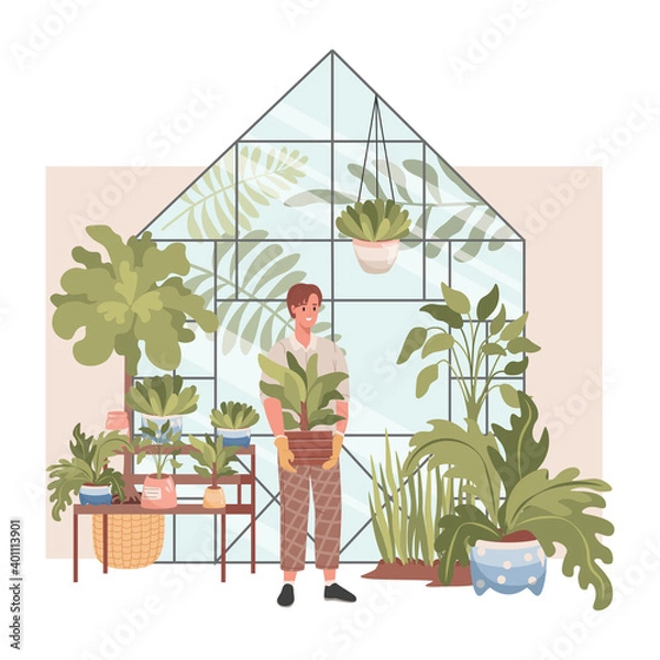 Obraz Plants shop interior vector flat design. Happy smiling man in casual clothes and gloves holding pot with tree and sales domestic plants. Shelves with green home plants. Agriculture gardener hobby.