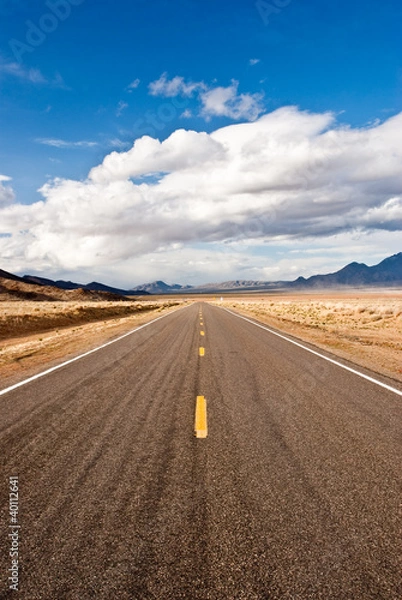 Obraz Long road in Desert Storm 3