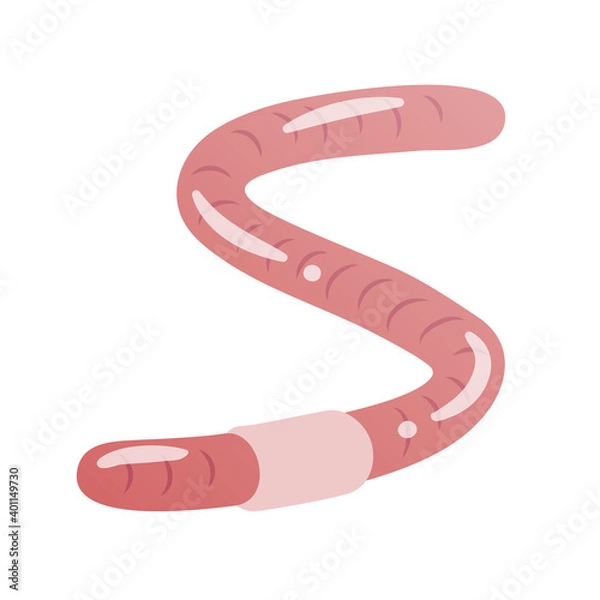 Fototapeta ミミズ