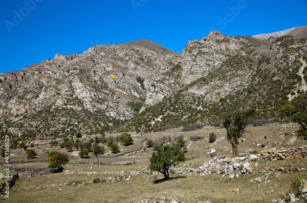 Fototapeta Mountain landscape at noon. Beautiful mountain landscape with trees at the foot of the ridge. The concept of the development of nature and sustainable development. Place of text