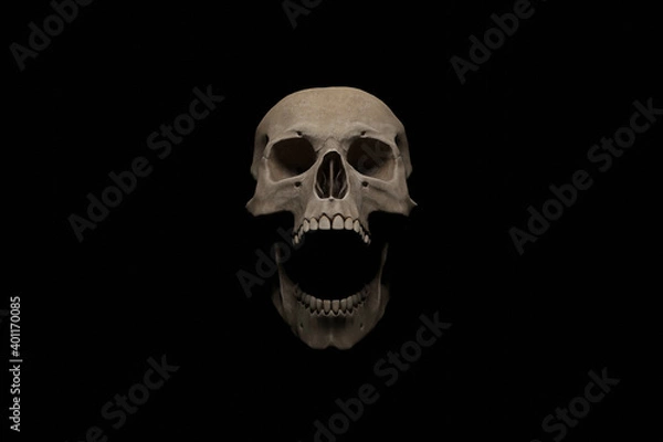 Fototapeta Human skull with wide open mouth on black background. 3D rendering.