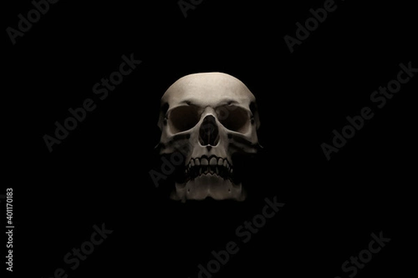 Fototapeta Stylized image of human skull on black background. 3D rendering.