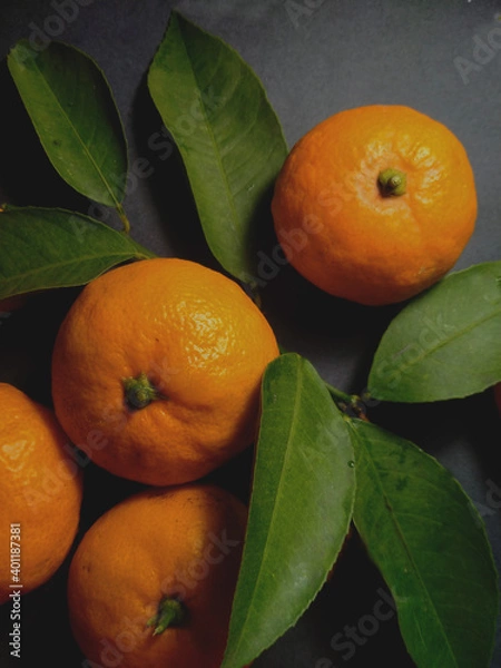 Obraz Mandarines and leaves