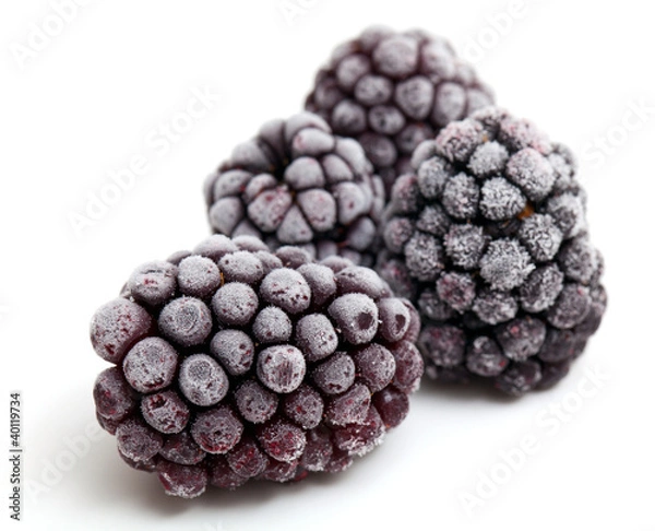 Obraz zamrożone jeżyny