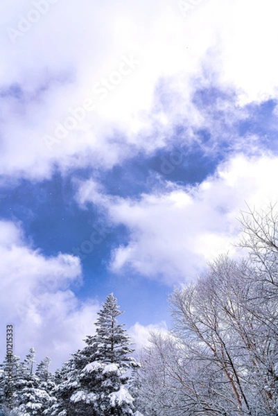 Fototapeta 【冬イメージ】雪と青空