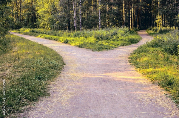 Obraz Divergence of paths. A wide alley in the park is divided into two paths leading in different directions.