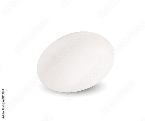 Fototapeta Duck egg isolated on white background