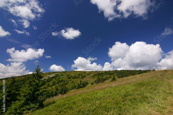 Fototapeta Hill and beautiful sky with clouds - summer in czech republic