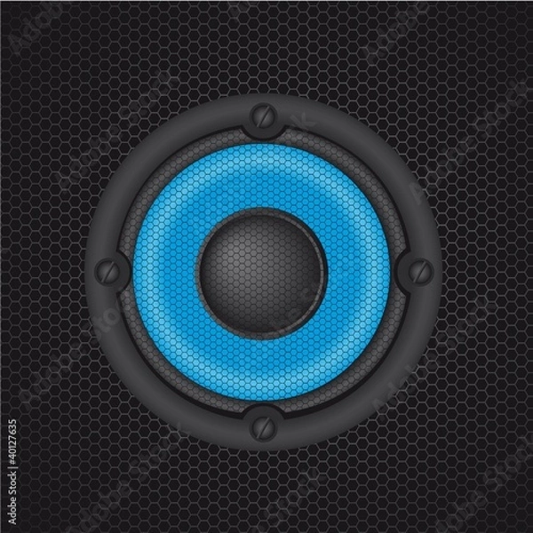 Obraz speaker vector