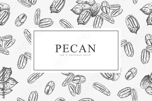 Fototapeta Card with pecan nuts. Line art style.