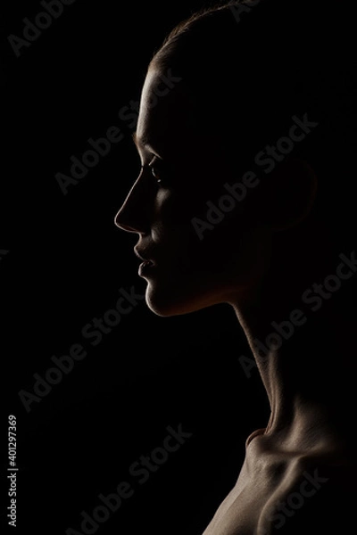 Obraz female profile silhouette