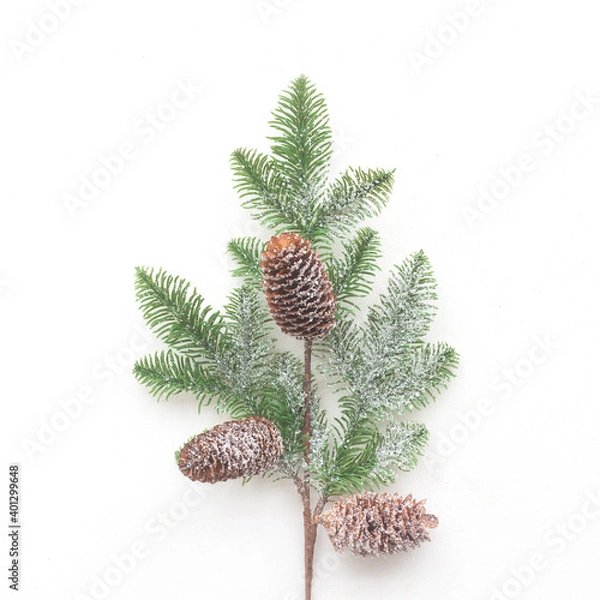 Obraz Christmas tree branches on white background, flat lay, top view
