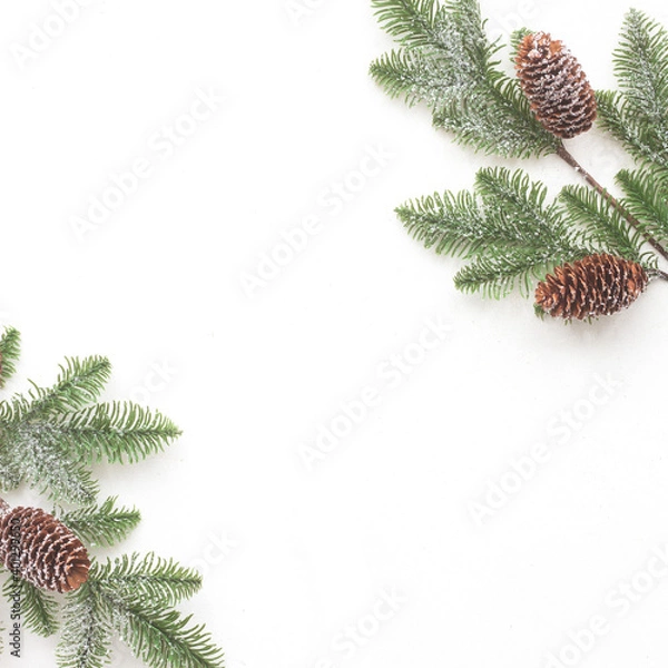 Obraz Christmas tree branches on white background, flat lay, top view