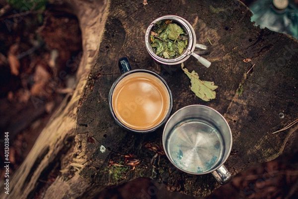 Obraz enjoy the nature