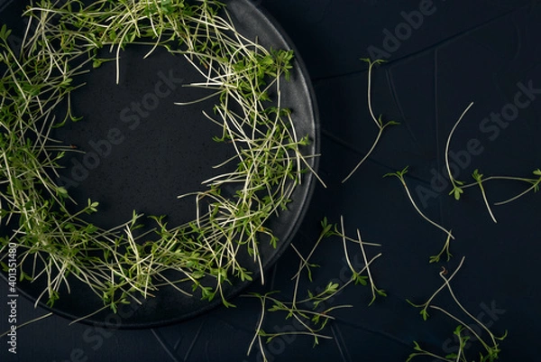 Fototapeta Black plate with watercress microgreens on dark textured background. Top view.