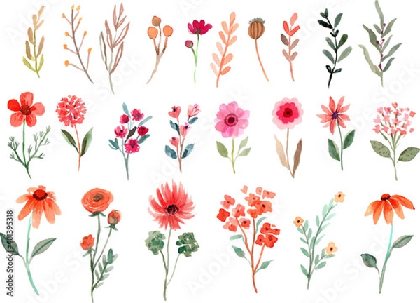 Obraz Watercolor Wildflowers Element Vector Collection