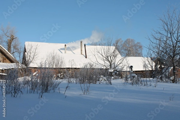 Obraz winter landscape with trees and snow