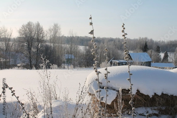 Obraz winter landscape with trees and snow