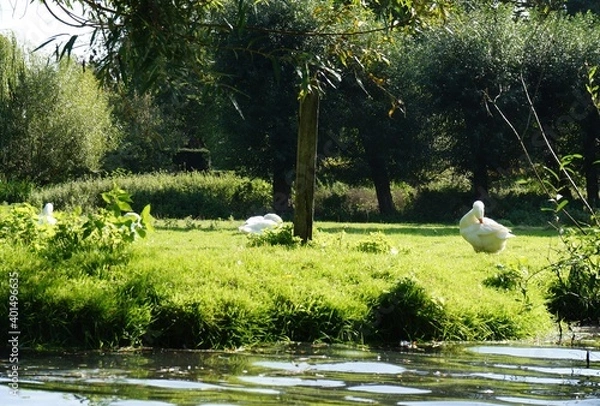 Obraz タイトル : Cambridge　
