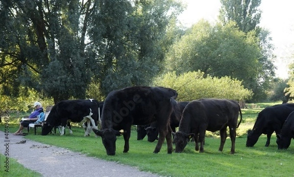 Obraz タイトル : Cambridge　
