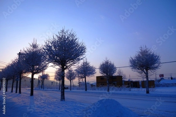 Obraz 雪国の朝焼け