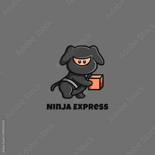 Fototapeta Ninja Expres