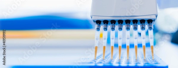 Obraz Medical and scientific banner with free space. 8-channel pipette and 96-well test plate. Genetic laboratory research technician. medical research laboratory. purification of DNA samples.