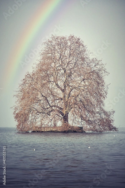 Obraz Alone whit Rainbow