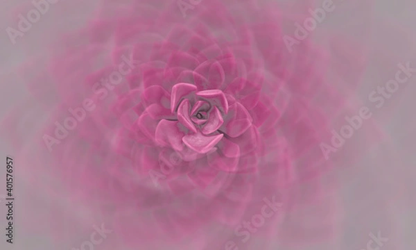Obraz magical abstract background made of succulent