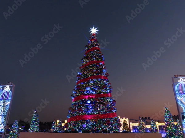 Obraz 巨大なクリスマスツリー
